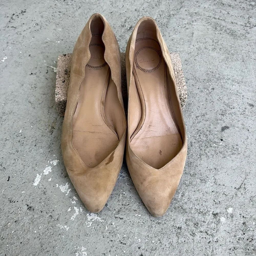 Chloe scallop flats
